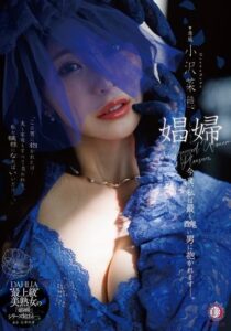DLDSS-487