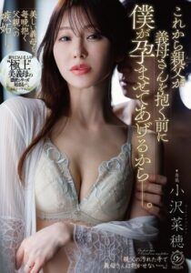 DLDSS-495