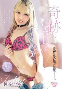 FEM-029