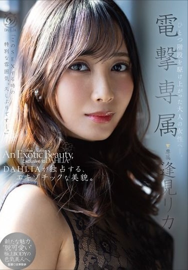 DLDSS-517